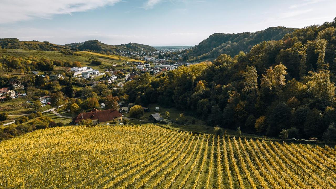 Luxury Vineyard Resort Chateau Ramsak Maribor Buitenkant foto